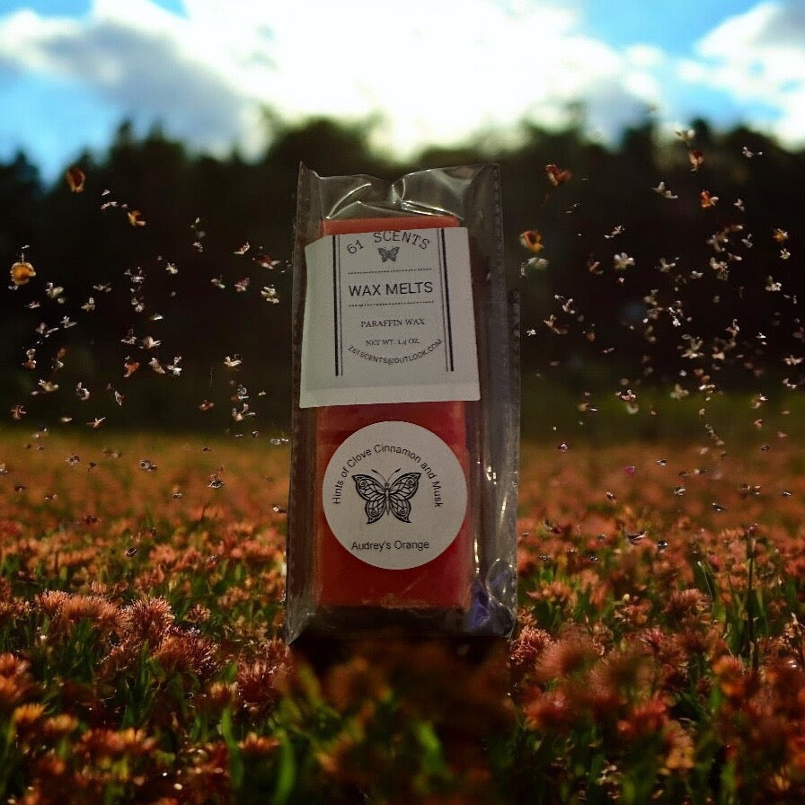 Audrey's Orange Wax Snap Melt (5 pieces).